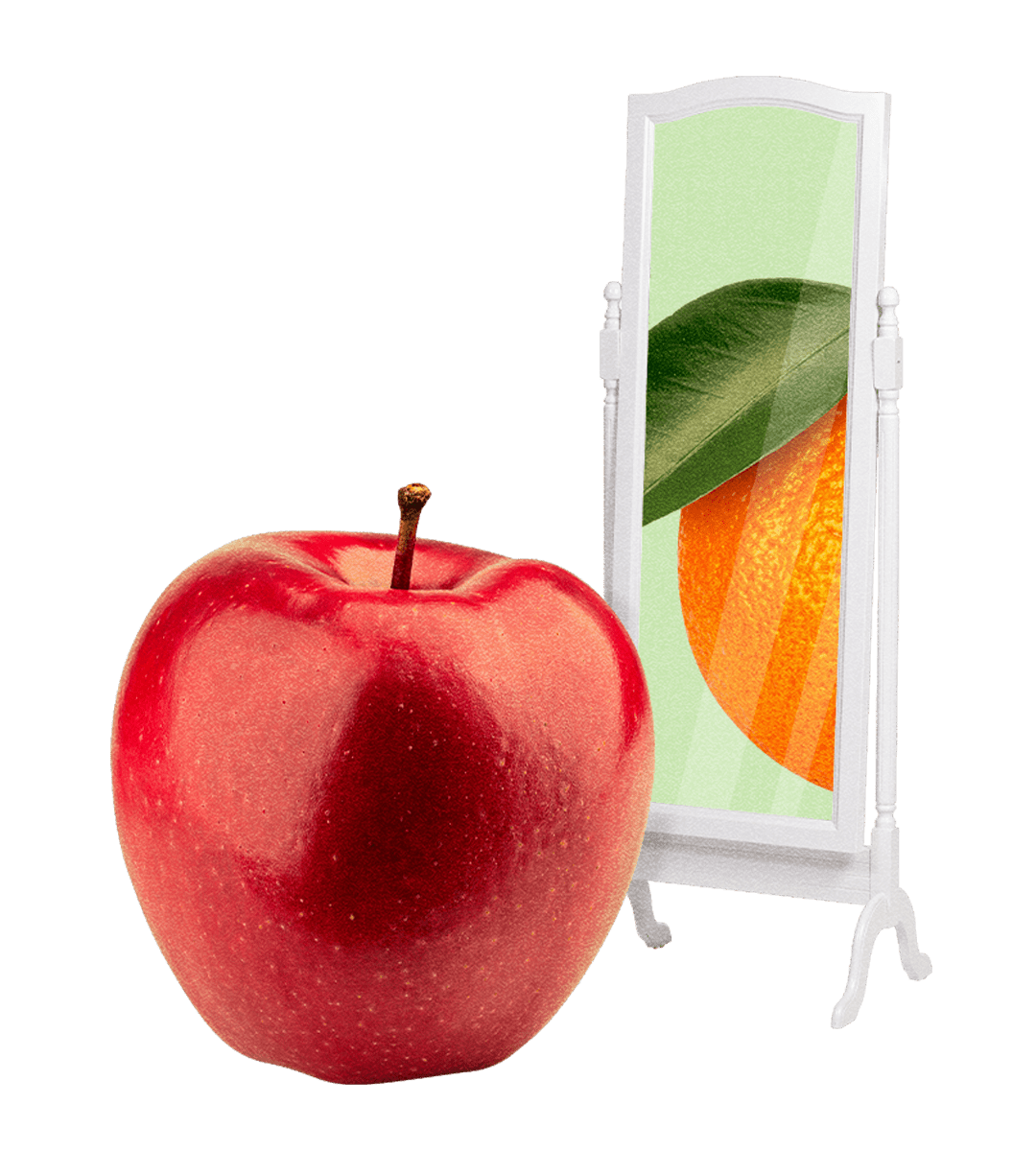 Apple and orange illustration