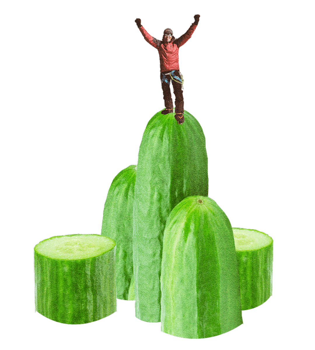 Cucumber and mountain illustration