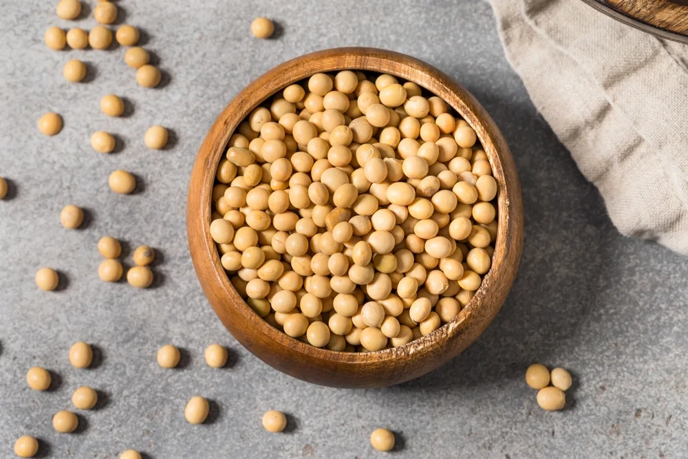 Are soybeans good for weight loss? What you need to know