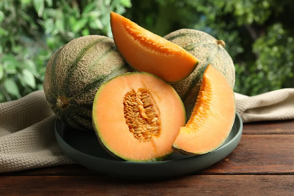 cantaloupe