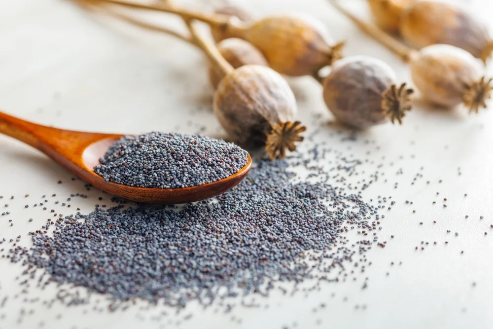 Poppy Seeds