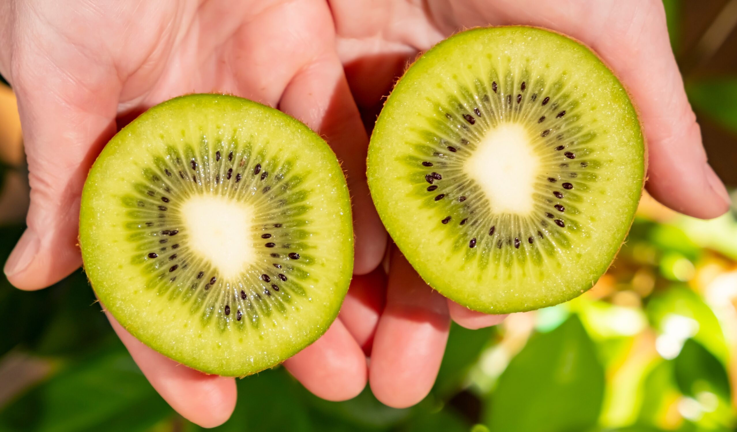 Food, Fruit, Plant