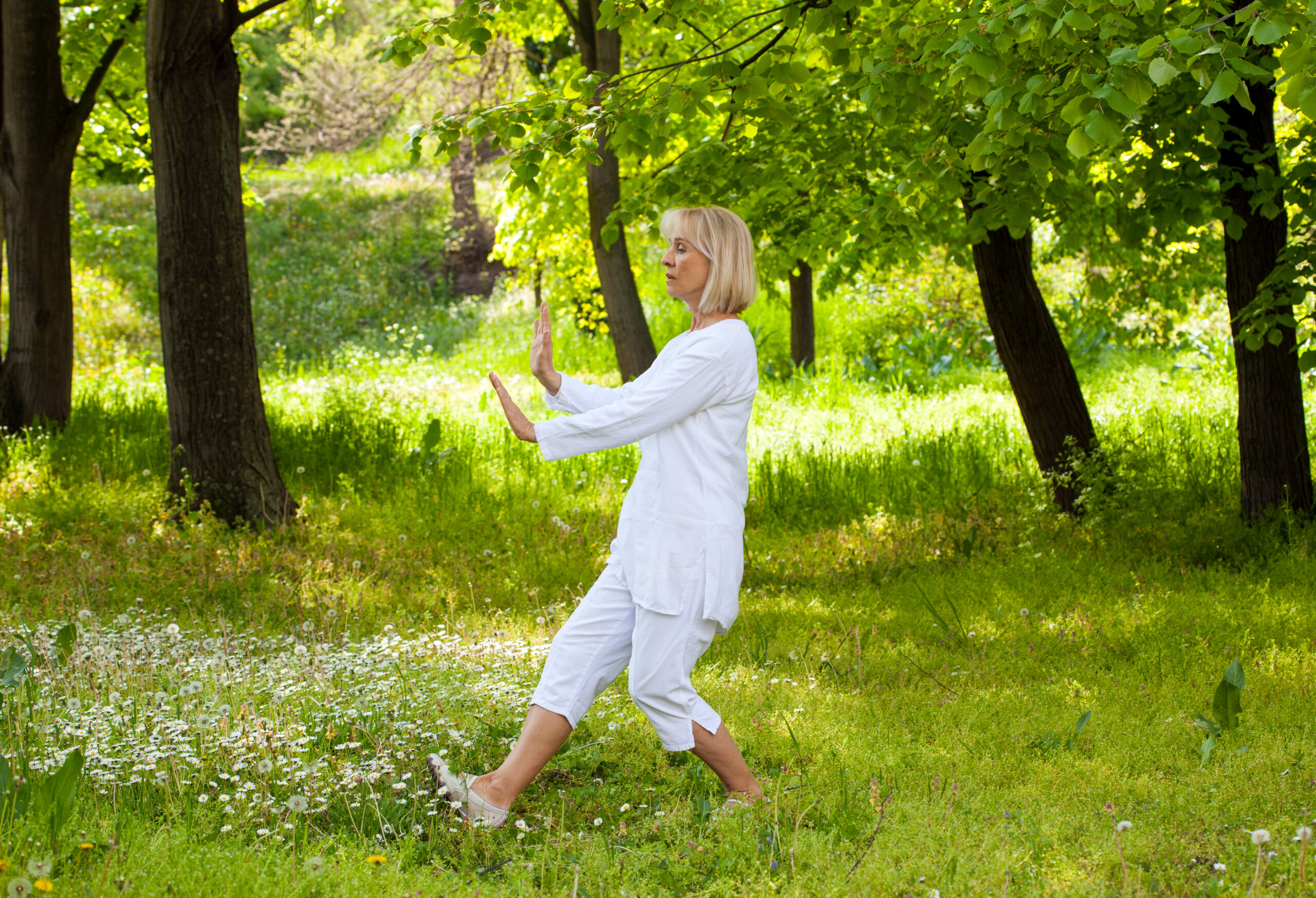Grass, Plant, Martial Arts