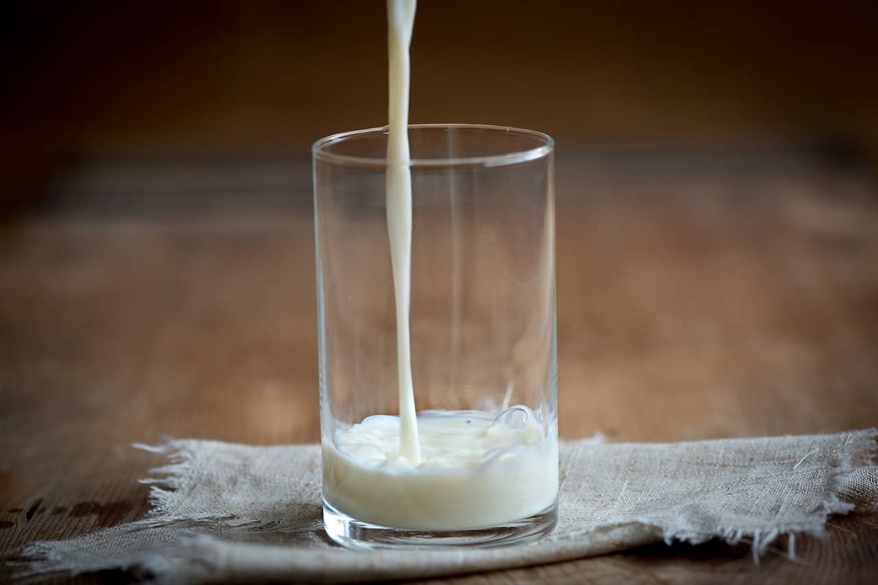 dairy-free milk