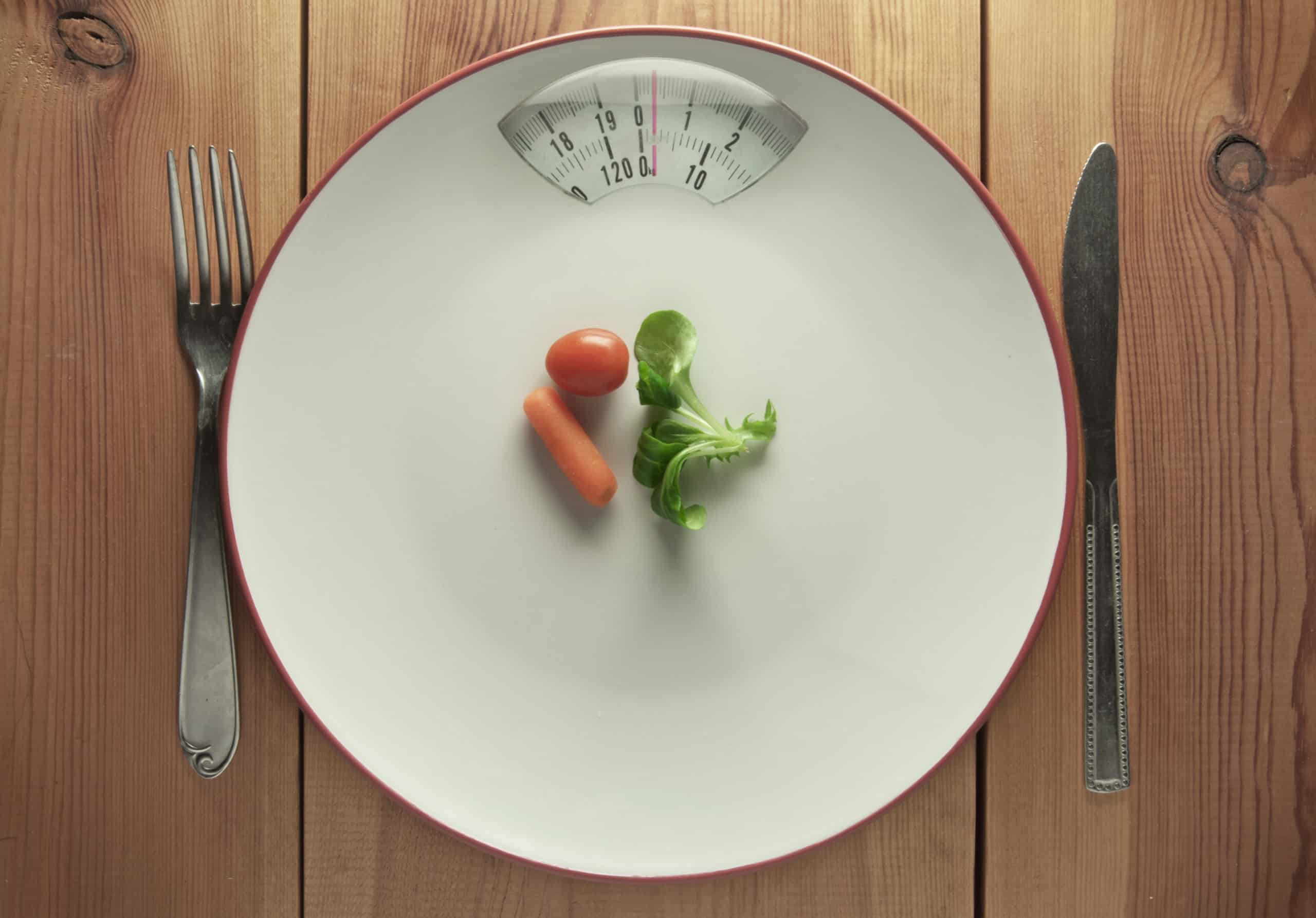 low carb vs low fat diets