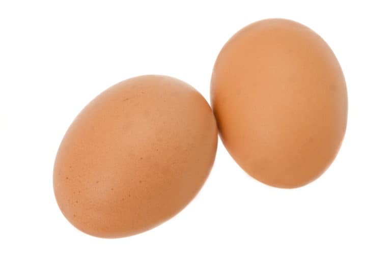 Two fresh chicken eggs